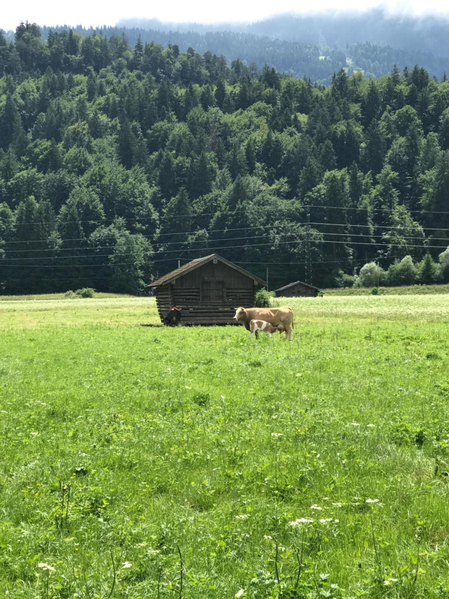 Apartment Garmisch Zugspitze Grainau Ngoại thất bức ảnh